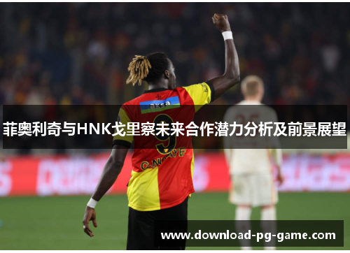 菲奥利奇与HNK戈里察未来合作潜力分析及前景展望